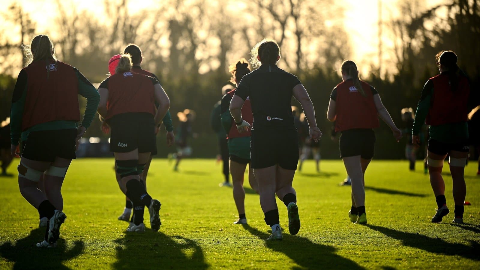 Ireland's Rugby Revolution: Lessons for Ethiopian Sports