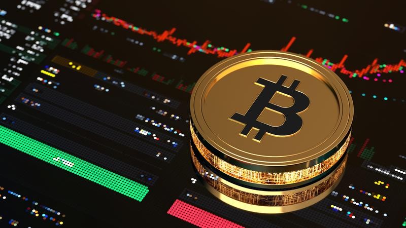 Bitcoin ETFs Soar in August: Is the Rally Built to Last?